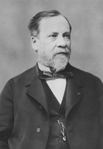 Portrait of Louis Pasteur